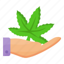 cannabis, marijuana, drug, weed, gift, hand gesture, hand