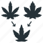 cannabis, clone, cultivate, hemp, marijuana, plant, weed 