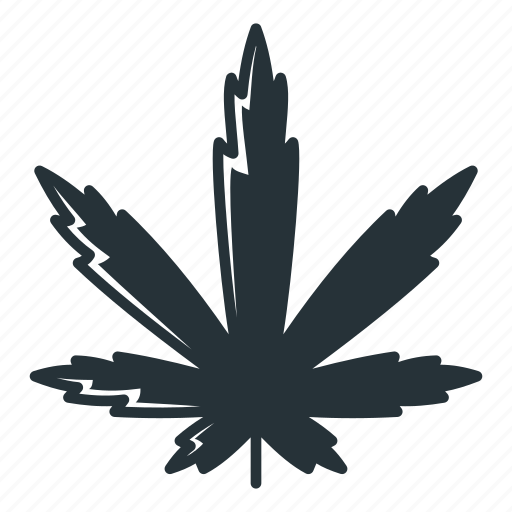Sativa, cannabis, drug, healthcare, marijuana, medicine, weed icon - Download on Iconfinder