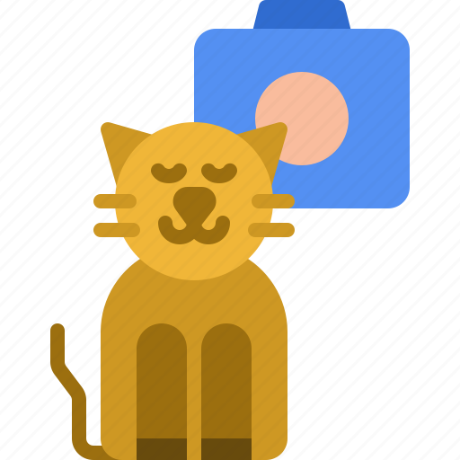 Photo, camera, pussycat, kitty, kitten, cat, pet icon - Download on Iconfinder