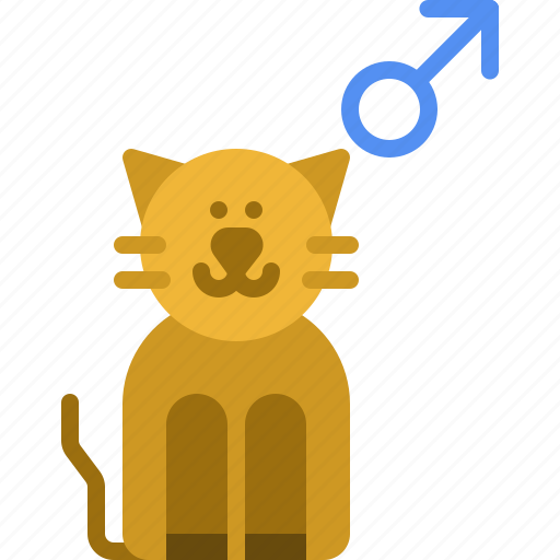 Pussycat, male, kitty, kitten, domestic, cat, pet icon - Download on Iconfinder