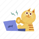 cat, typing, computer, happy, working, playing, computing, kitten, pet