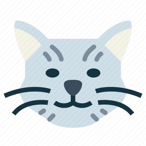British, shorthair, cat, breeds, animal, pet icon - Download on Iconfinder