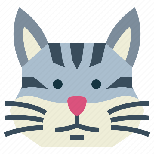 Burmilla, cat, breeds, animal, pet icon - Download on Iconfinder
