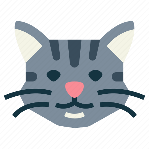 Manx, cat, breeds, animal, pet icon - Download on Iconfinder