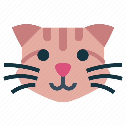 Munchkin, cat, breeds, animal, pet icon - Download on Iconfinder