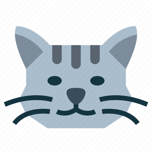 Shorthair, cat, breeds, animal, pet icon - Download on Iconfinder