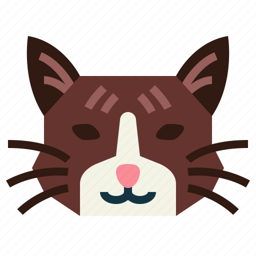Snowshoe, cat, breeds, animal, pet icon - Download on Iconfinder