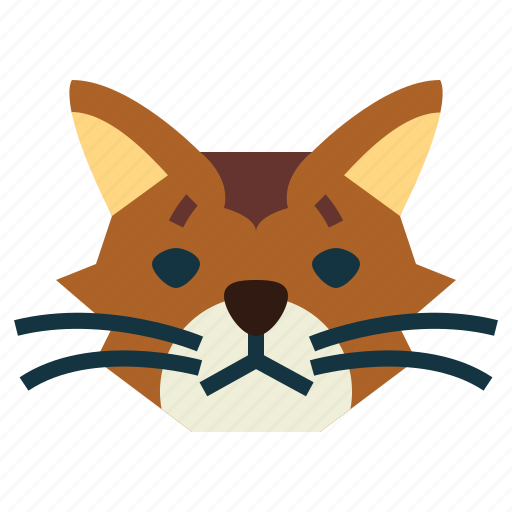 Somali, cat, breeds, animal, pet icon - Download on Iconfinder
