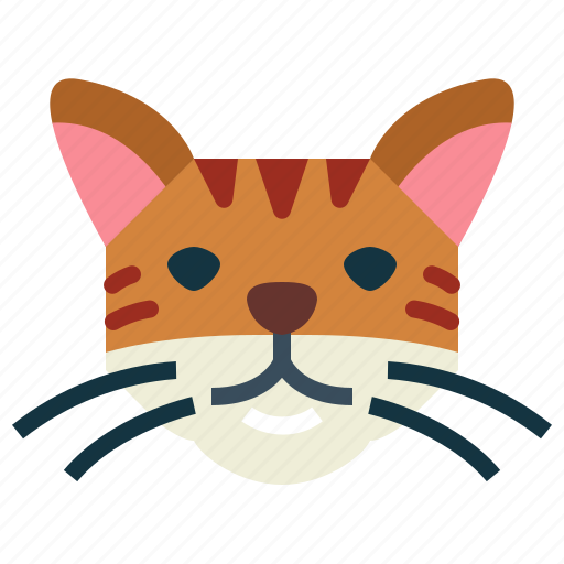 Turkish, cat, breeds, animal, pet icon - Download on Iconfinder
