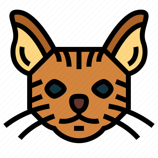 Chausie, cat, breeds, animal, pet icon - Download on Iconfinder
