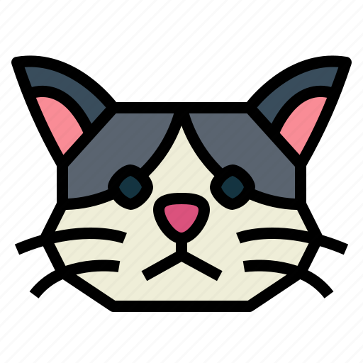 Cymric, cat, breeds, animal, pet icon - Download on Iconfinder