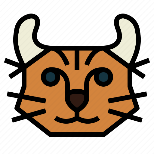 Highlander, cat, breeds, animal, pet icon - Download on Iconfinder