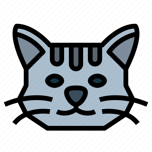 Shorthair, cat, breeds, animal, pet icon - Download on Iconfinder