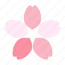 sakura, cherry, blossoms, spring, petal, petals, flower