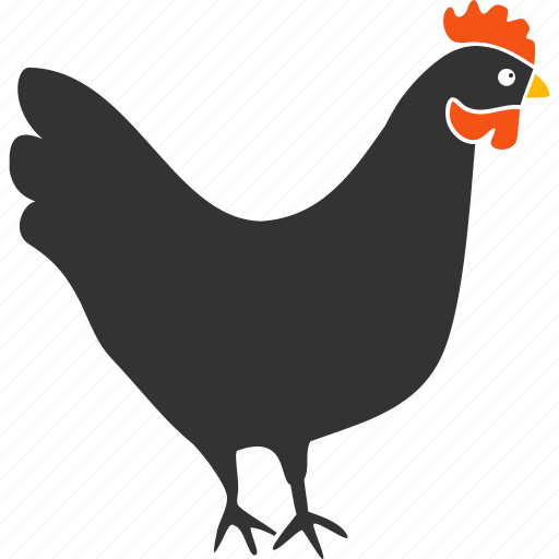 Chicken, hen, agriculture, bird, chick, cock, rooster icon - Download on Iconfinder