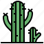 cactus, desert, botanical, environment, plant 