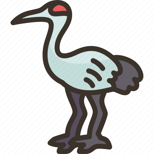 Crane, bird, crowned, wildlife, nature icon - Download on Iconfinder