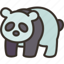 panda, giant, animal, endangered, china