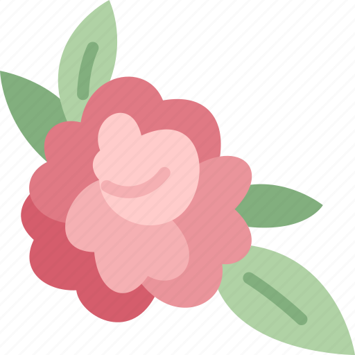 Peony, flower, floral, blossom, botanical icon - Download on Iconfinder