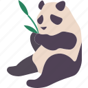 panda, wildlife, animal, nature, bamboo