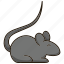 mouse, mice, cute, animal, tail 