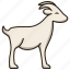 farm animal, goat, mascot, horn, zoo 