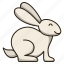 rabbit, bunny, animal, easter, pet, mammal 