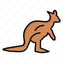 anomal, australia, australian, indigenous, kangaroo, trave