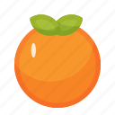 orange, food, fruit