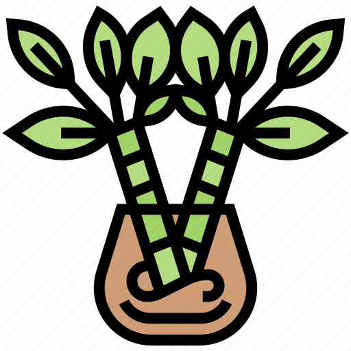 Bamboo, plant, decoration, natural, relaxation icon - Download on Iconfinder