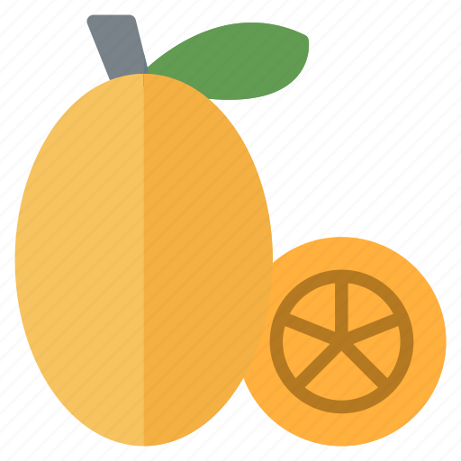Kumquat, fruit, food, juicy, tropical icon - Download on Iconfinder