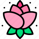 lotus flower, chinese, new year, cultures, traditional, pink, flower, lotus, decoration