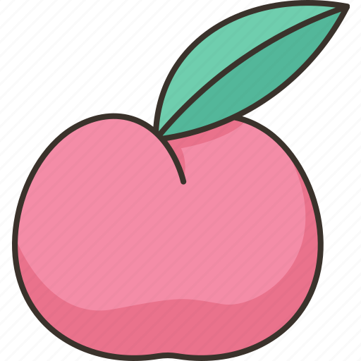 Peach, fruit, fresh, juicy, food icon - Download on Iconfinder