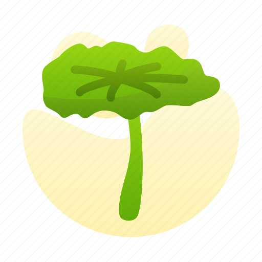 Leaf, lotus, new, year, chinese icon - Download on Iconfinder