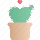 valentine, valentines day, love, cactus, plant, pot, heart
