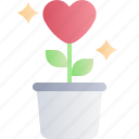 valentine, valentines day, love, plant, pot, grow, heart