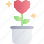 valentine, valentines day, love, plant, pot, grow, heart 