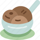 ice, cream, chocolate, bowl, scoop