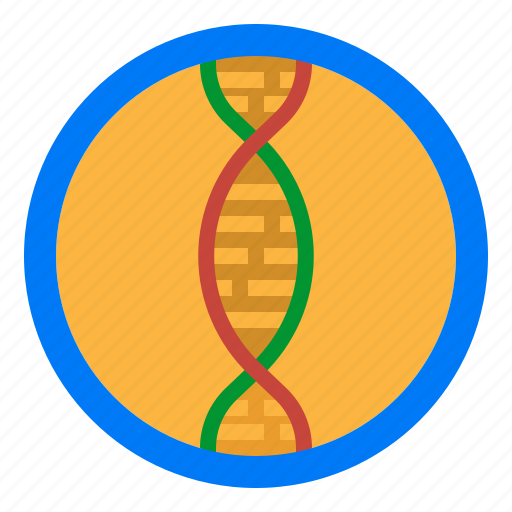Biology, dna, gene, genetic, science icon - Download on Iconfinder