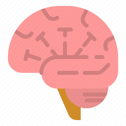 Brain, education, human, medical, people icon - Download on Iconfinder