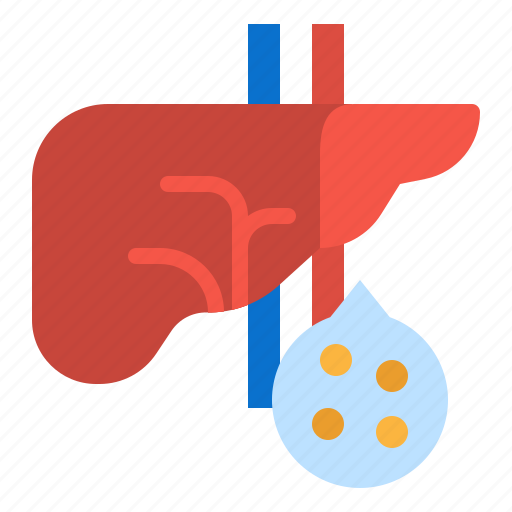 Anatomy, healthcare, liver, medical, physiology icon - Download on Iconfinder