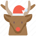 animal, reindeer, christmas, mammal, deer, winter, animals
