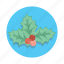 berry, decoration, leaf, tree, christmas 