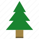 christmas tree, plant, tree 