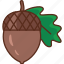 acorn, hazelnut, nut 