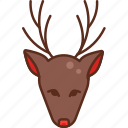 christmas, deer, reindeer