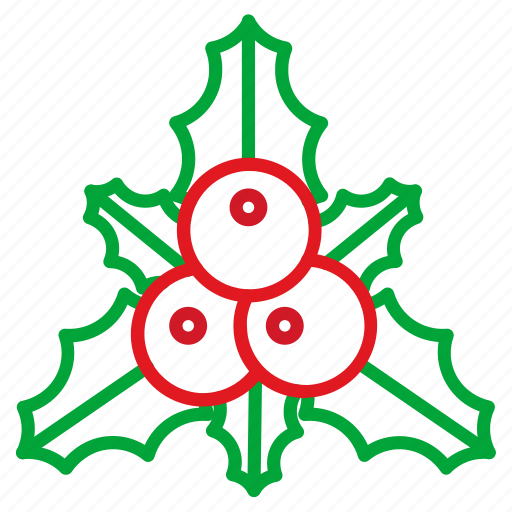 Christmas, decoration, mistletoe, nature, ornament icon - Download on Iconfinder