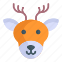 deer, animal, reindeer, wildlife, winter, christmas, decoration