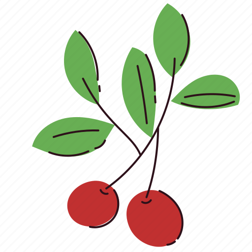 Mistletoe, decoration, ornament, christmas, holidays, plant icon - Download on Iconfinder